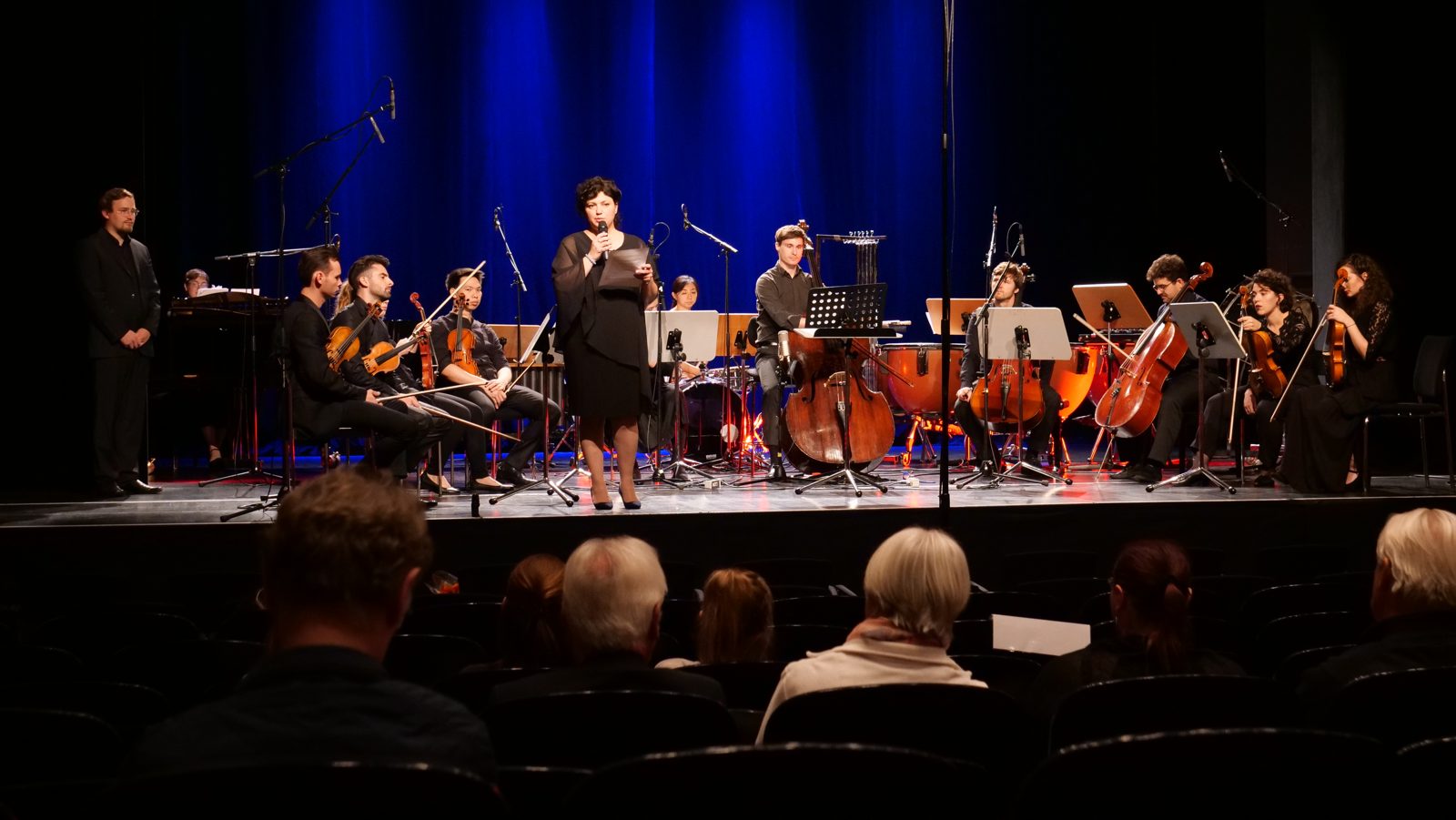 Bridge of Sound Ensemble im Konzert
